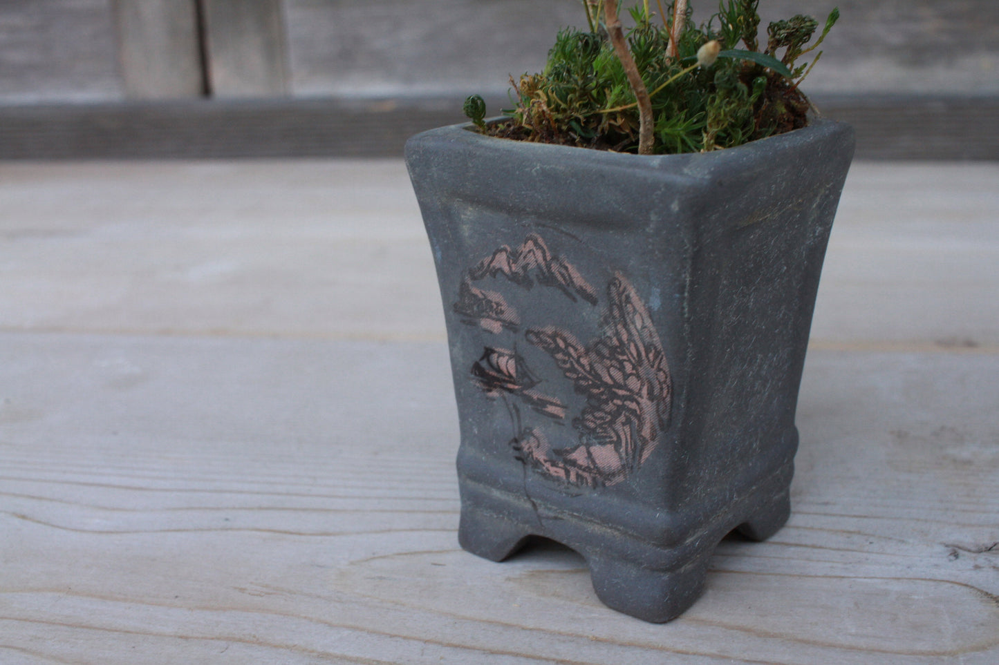 Mini Bonsai Pot - Japanese Vintage Matte Black Ceramic Square Planter with Kanji Signature