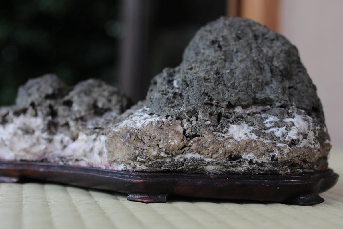 A close-up image of a rock formation on a wooden base, with a blurred background.