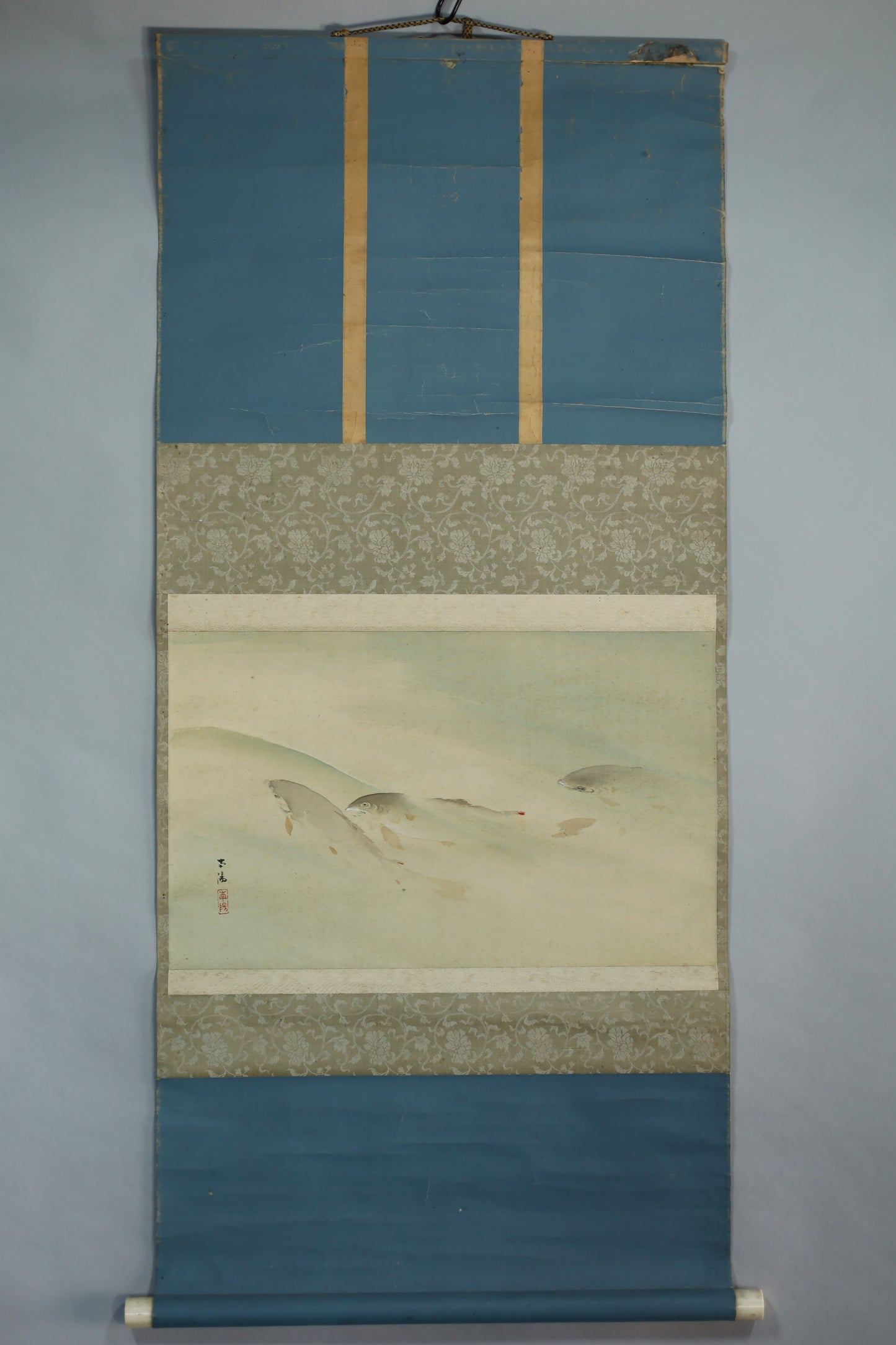 Japanese antique watercolor painting scroll fishes KAKEJIKU with BOX signed Inui Nanyo