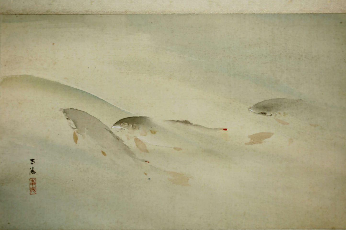 Japanese antique watercolor painting scroll fishes KAKEJIKU with BOX signed Inui Nanyo