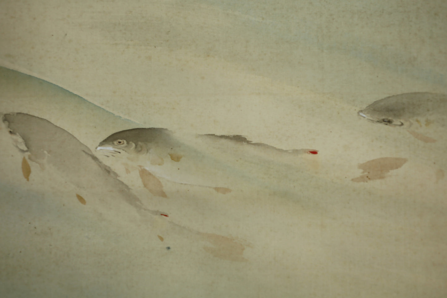 Japanese antique watercolor painting scroll fishes KAKEJIKU with BOX signed Inui Nanyo