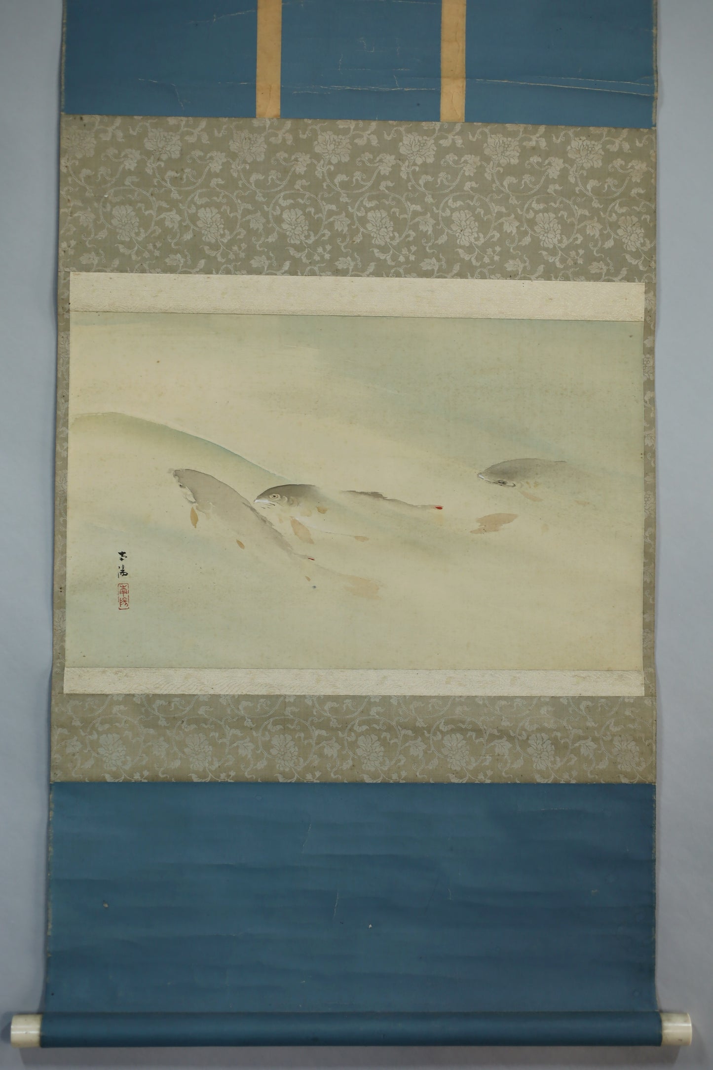 Japanese antique watercolor painting scroll fishes KAKEJIKU with BOX signed Inui Nanyo