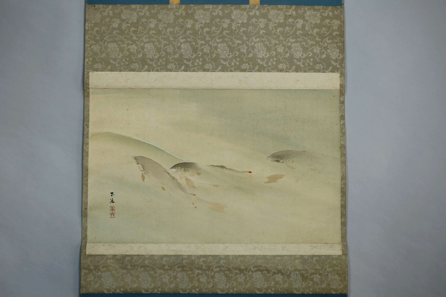 Japanese antique watercolor painting scroll fishes KAKEJIKU with BOX signed Inui Nanyo