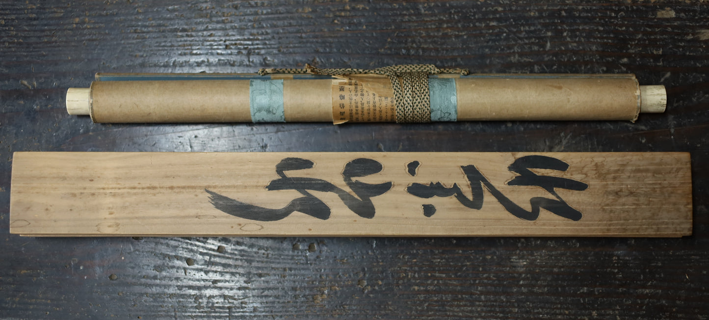 Japanese antique watercolor painting scroll fishes KAKEJIKU with BOX signed Inui Nanyo