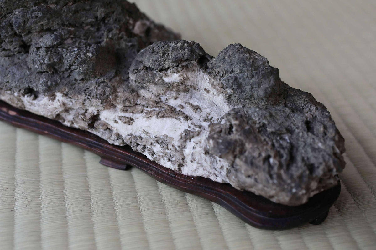 a close-up view of a rock or stone with a rough, gray surface. The rock is resting on a wooden stand or base, which is placed on a textured surface.