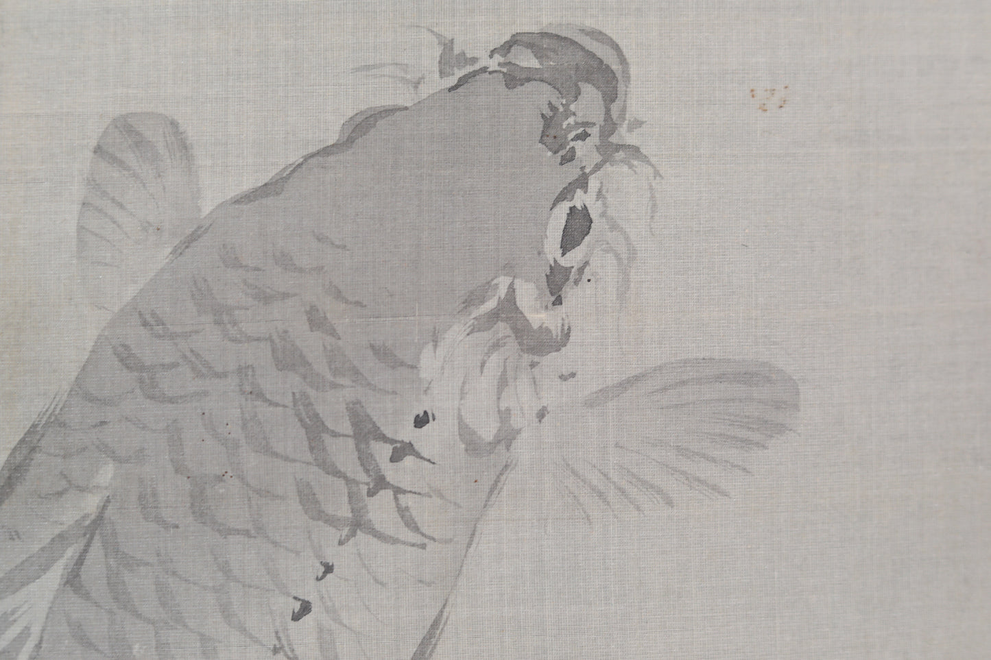 Japanese antique watercolor painting scroll fine painted carps KOI, KAKEJIKU with signature of three masters H68.5x20.5in / 174x52cm