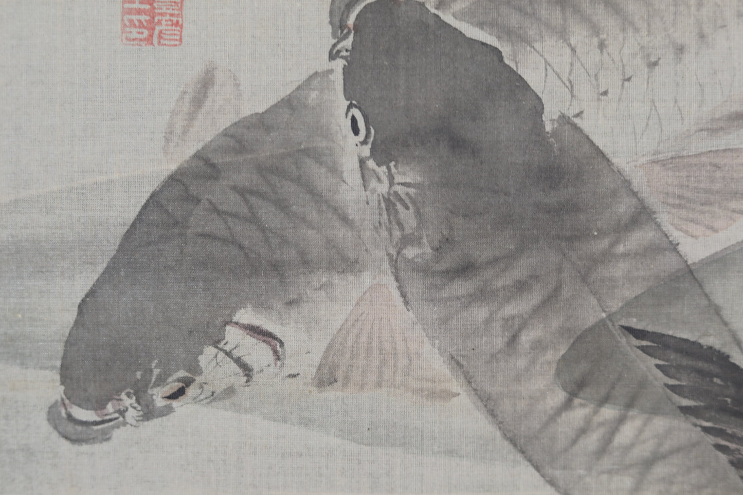 Japanese antique watercolor painting scroll fine painted carps KOI, KAKEJIKU with signature of three masters H68.5x20.5in / 174x52cm