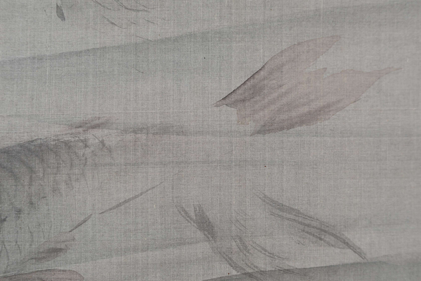 Japanese antique watercolor painting scroll fine painted carps KOI, KAKEJIKU with signature of three masters H68.5x20.5in / 174x52cm