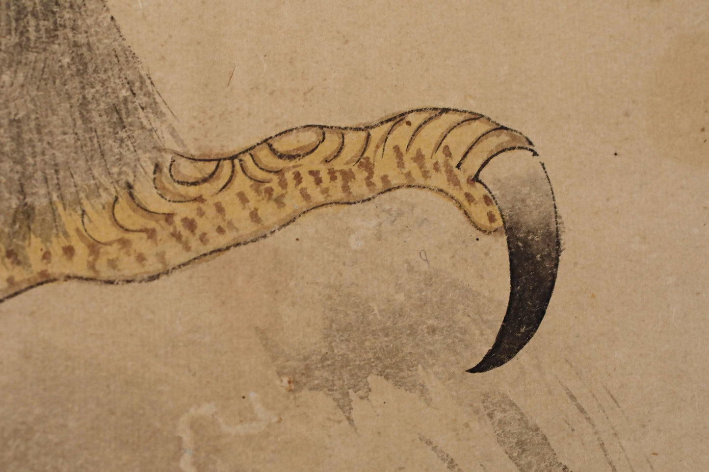 a close-up view of a bird's claw, with intricate details and patterns.