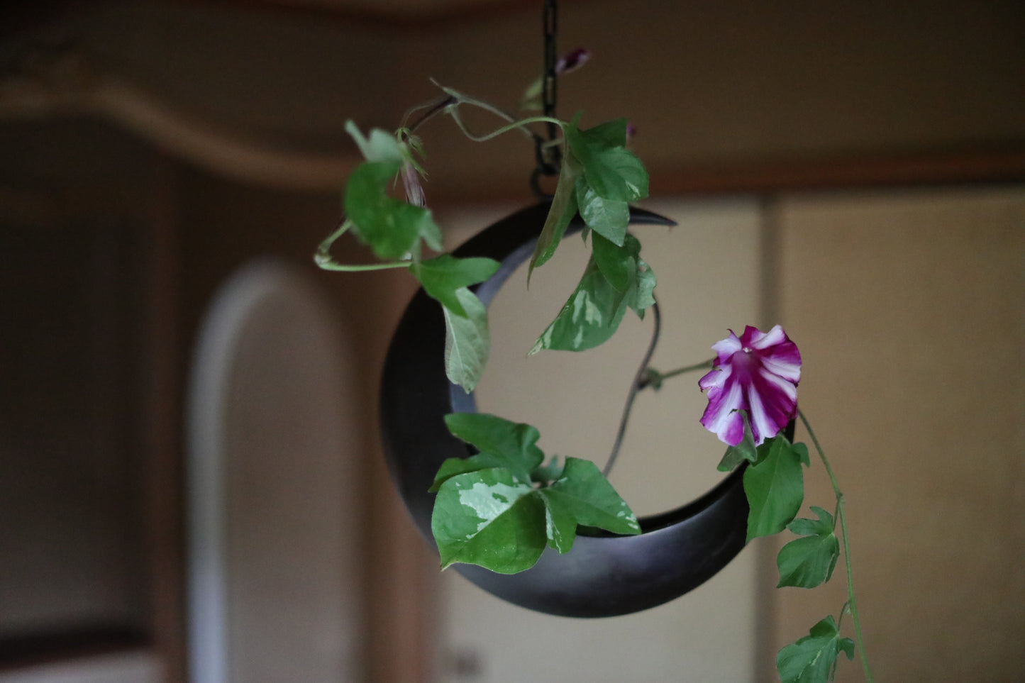 FINE! Japanese vintage Bronze hanging vase, crescent moon shaped with chain in 1970s, for IKEBANA Tea ceremony H13xW11.8in/H33×30cm