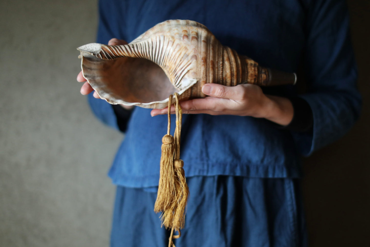 Japanese antique conch shell horn trumpet, HORAGAI buddhist alter mountain priest monk 13in/33cm