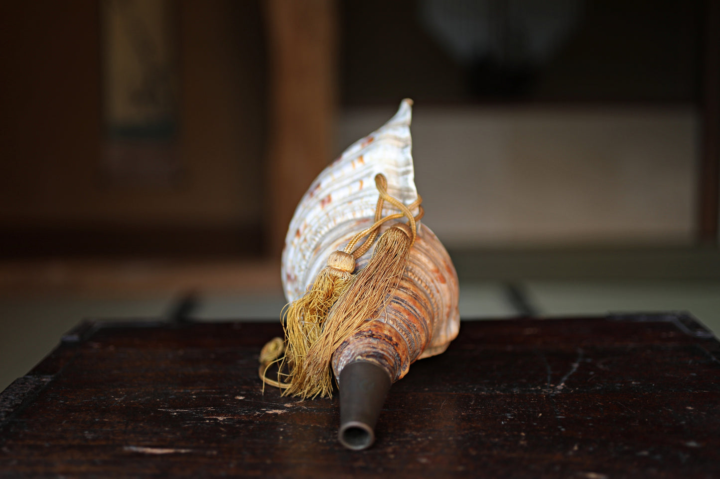 Japanese antique conch shell horn trumpet, HORAGAI buddhist alter mountain priest monk 13in/33cm