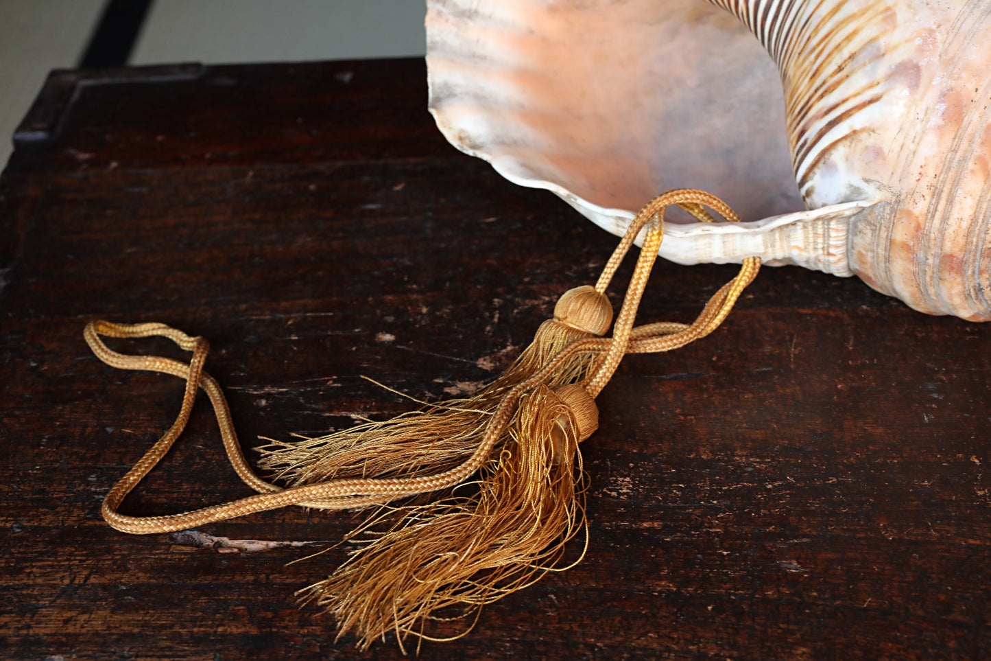 Japanese antique conch shell horn trumpet, HORAGAI buddhist alter mountain priest monk 13in/33cm