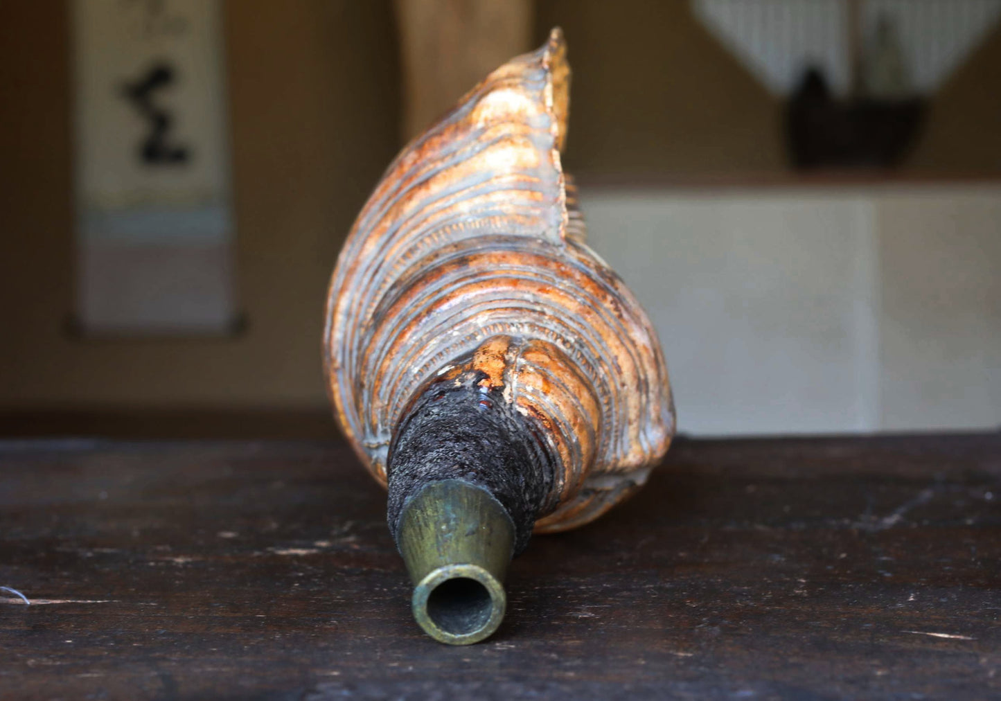 Japanese antique conch shell horn trumpet, HORAGAI buddhist alter mountain priest monk 10.6in/27cm