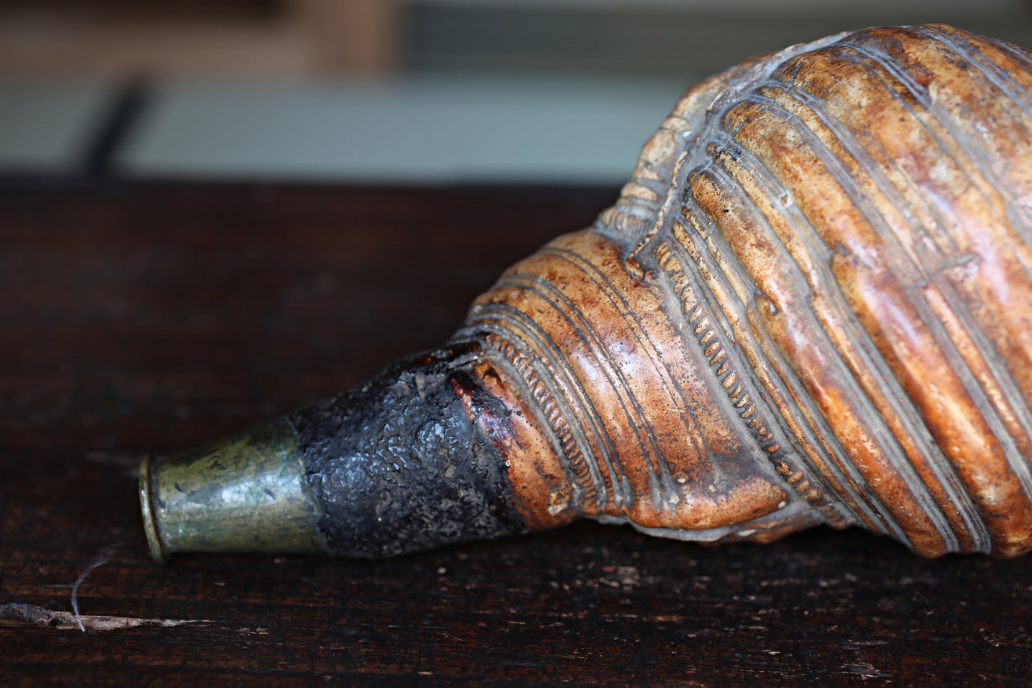 Japanese antique conch shell horn trumpet, HORAGAI buddhist alter mountain priest monk 10.6in/27cm