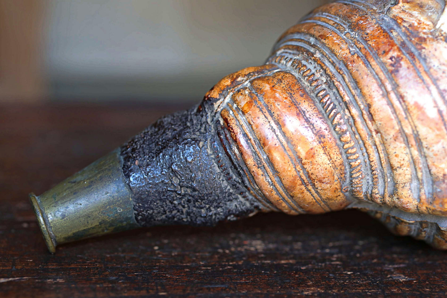 Japanese antique conch shell horn trumpet, HORAGAI buddhist alter mountain priest monk 10.6in/27cm