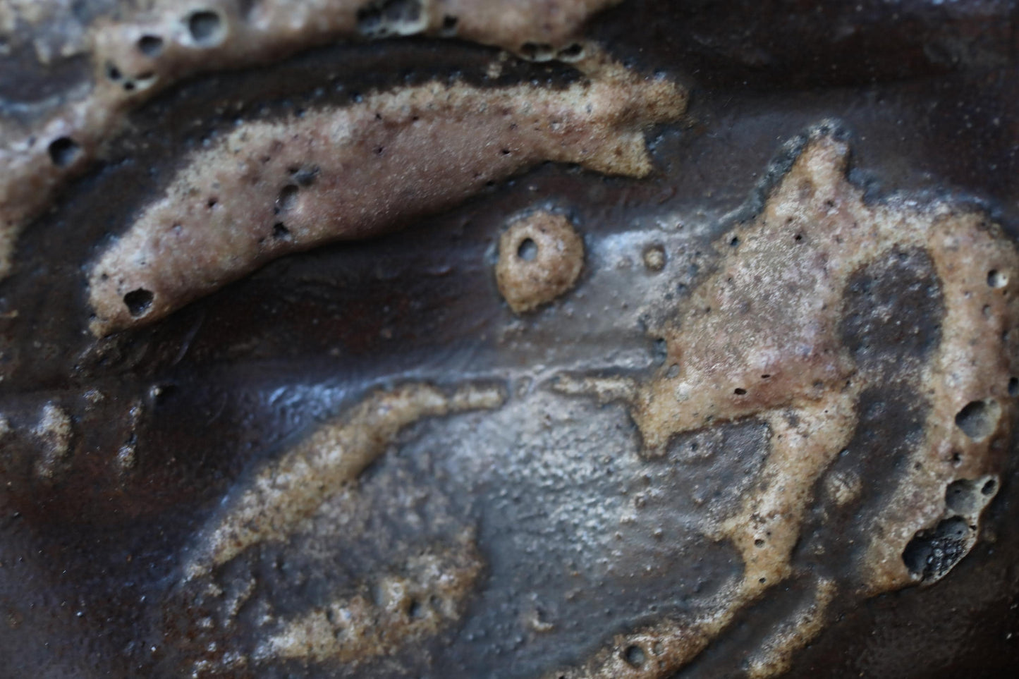 a close-up view of a textured surface with a dark, speckled appearance.