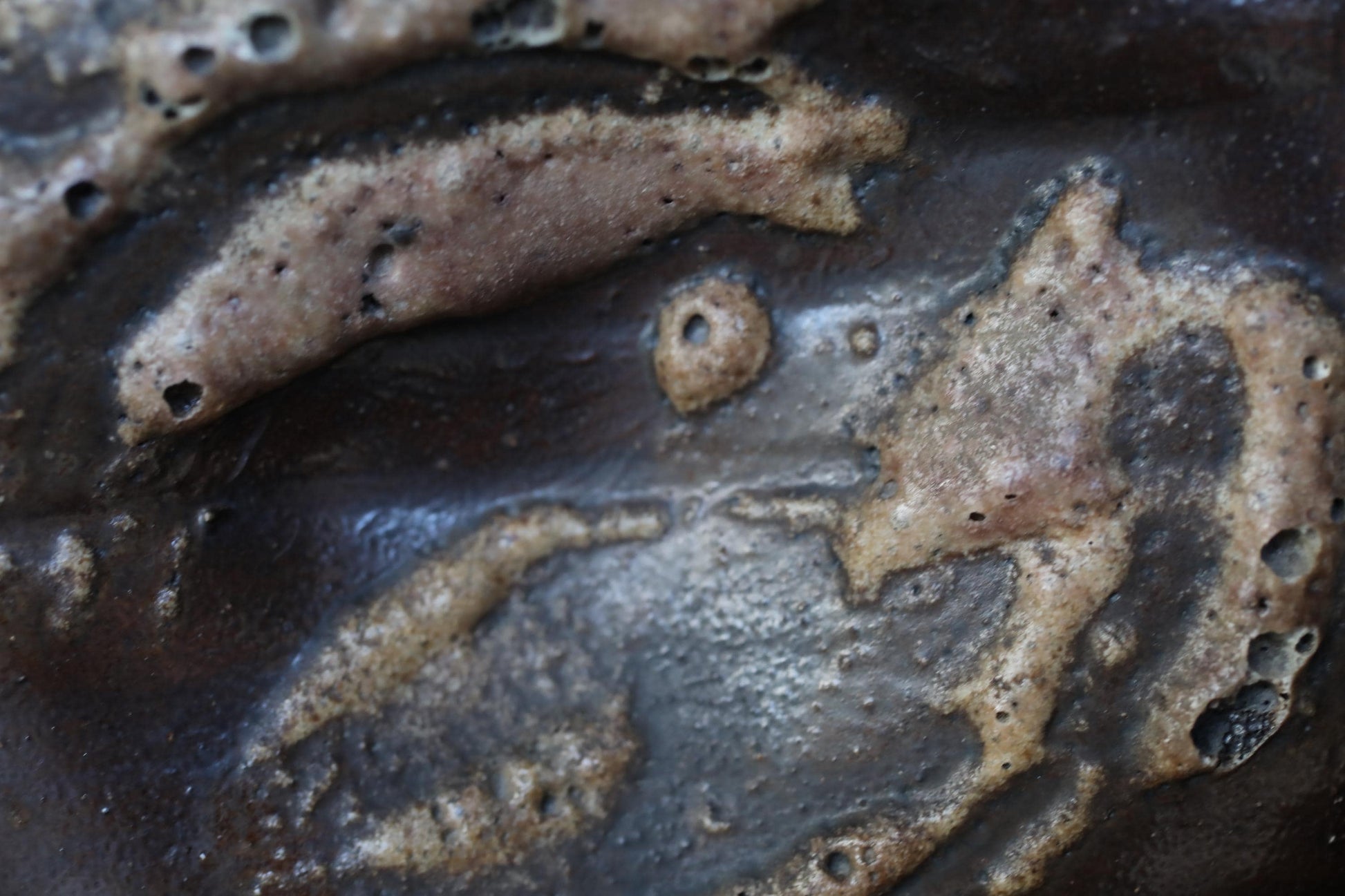 a close-up view of a textured surface with a dark, speckled appearance.