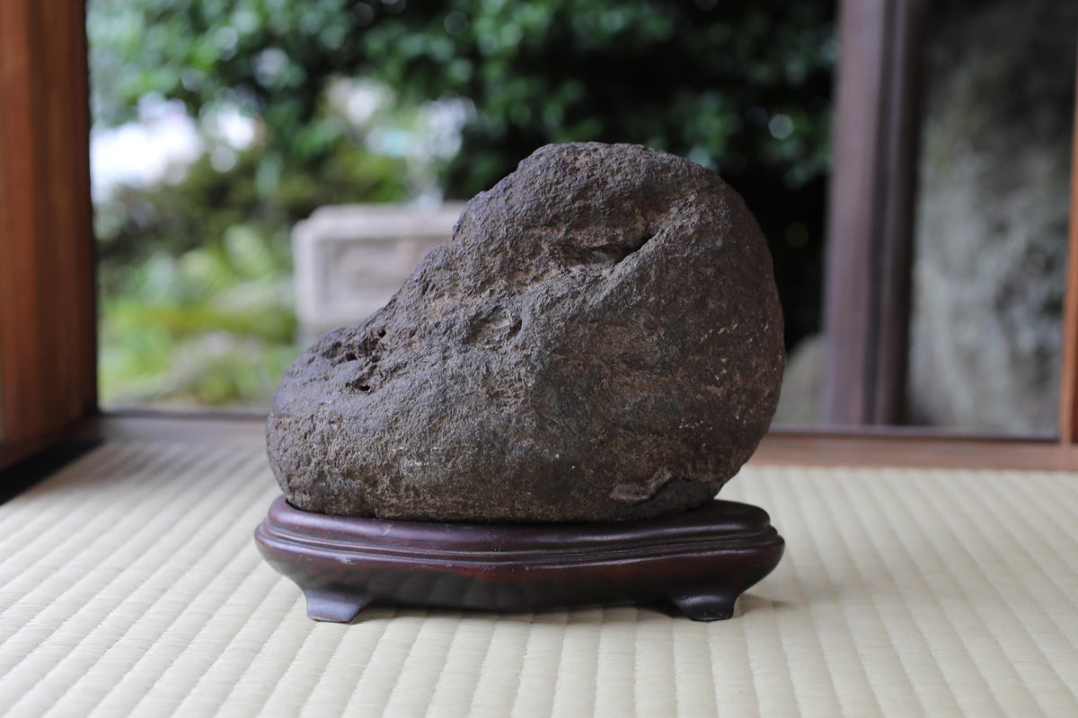 A large, dark-colored rock sits on a wooden stand in a garden setting, with a blurred background of greenery.