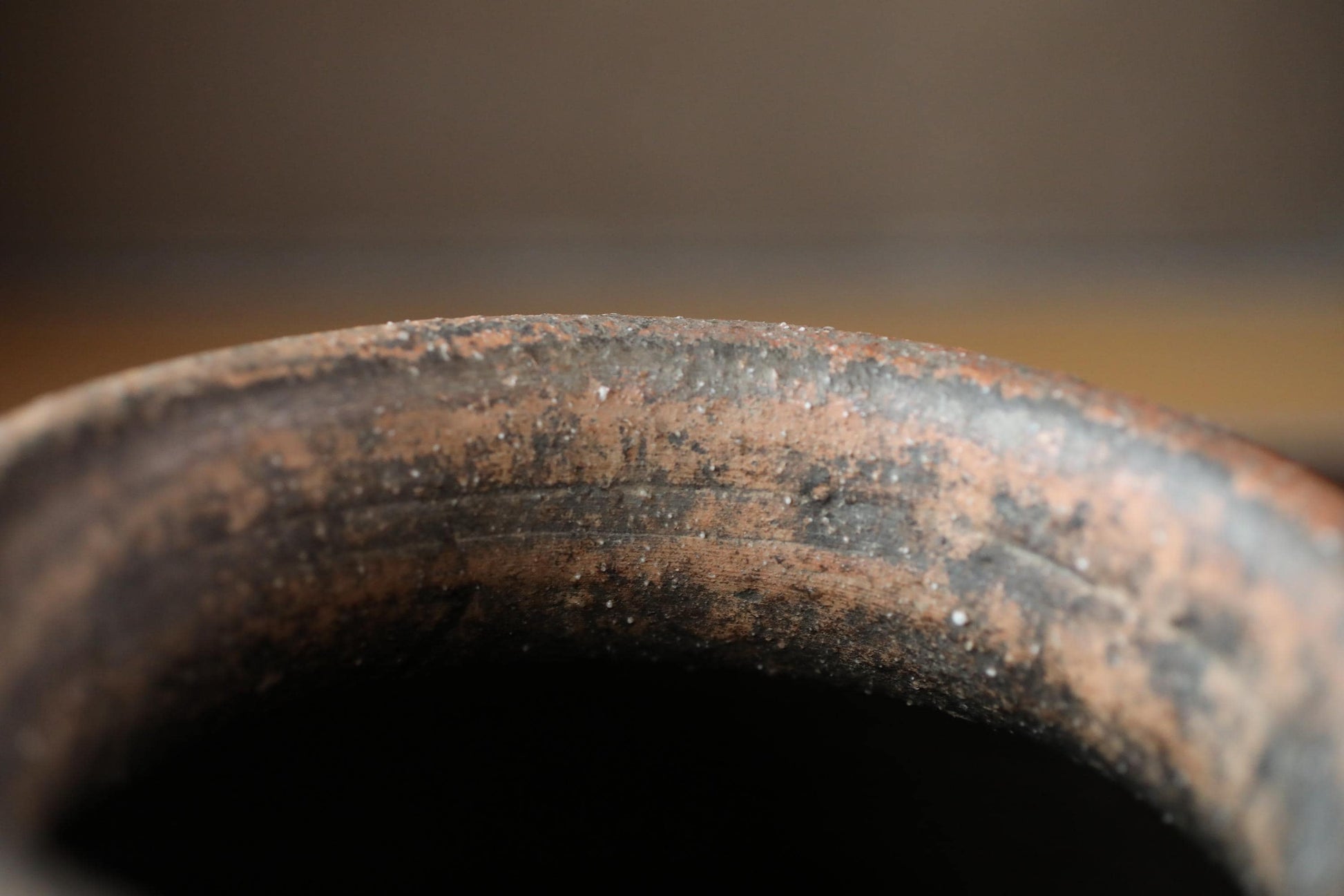 A close-up view of a rusted metal surface, likely a piece of pottery or a metal object, with a blurred background.