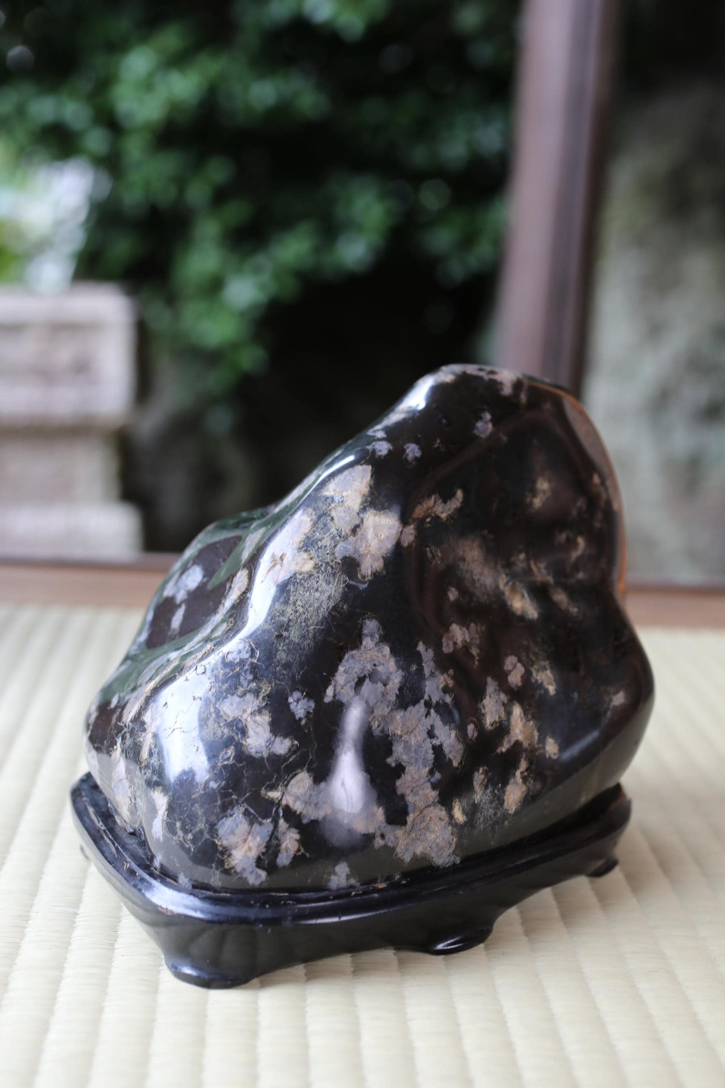 a black rock with a speckled surface, sitting on a black stand.