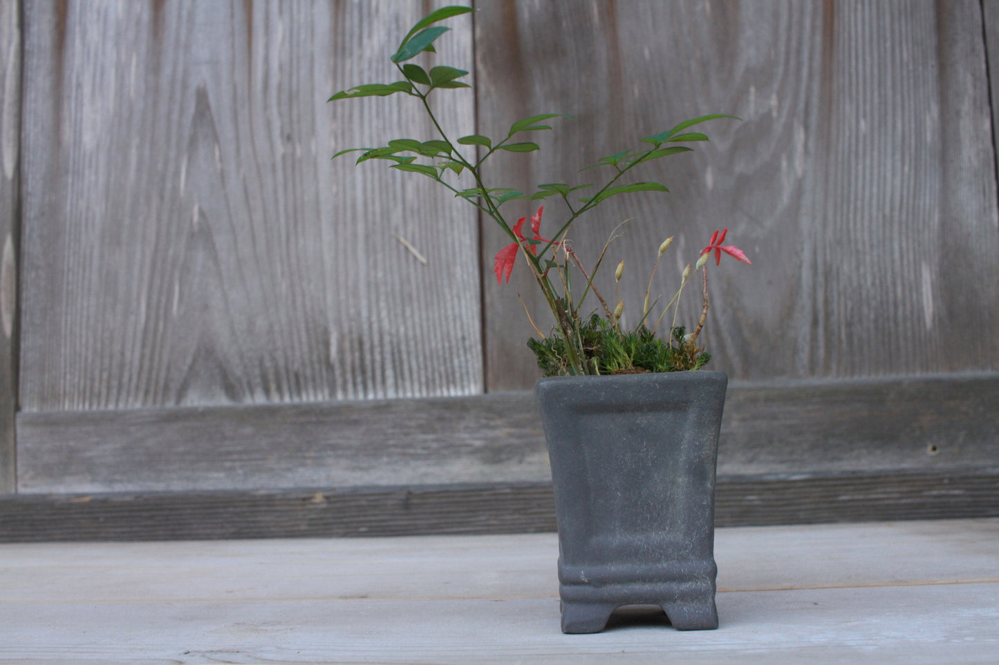 Mini Bonsai Pot - Japanese Vintage Matte Black Ceramic Square Planter with Kanji Signature