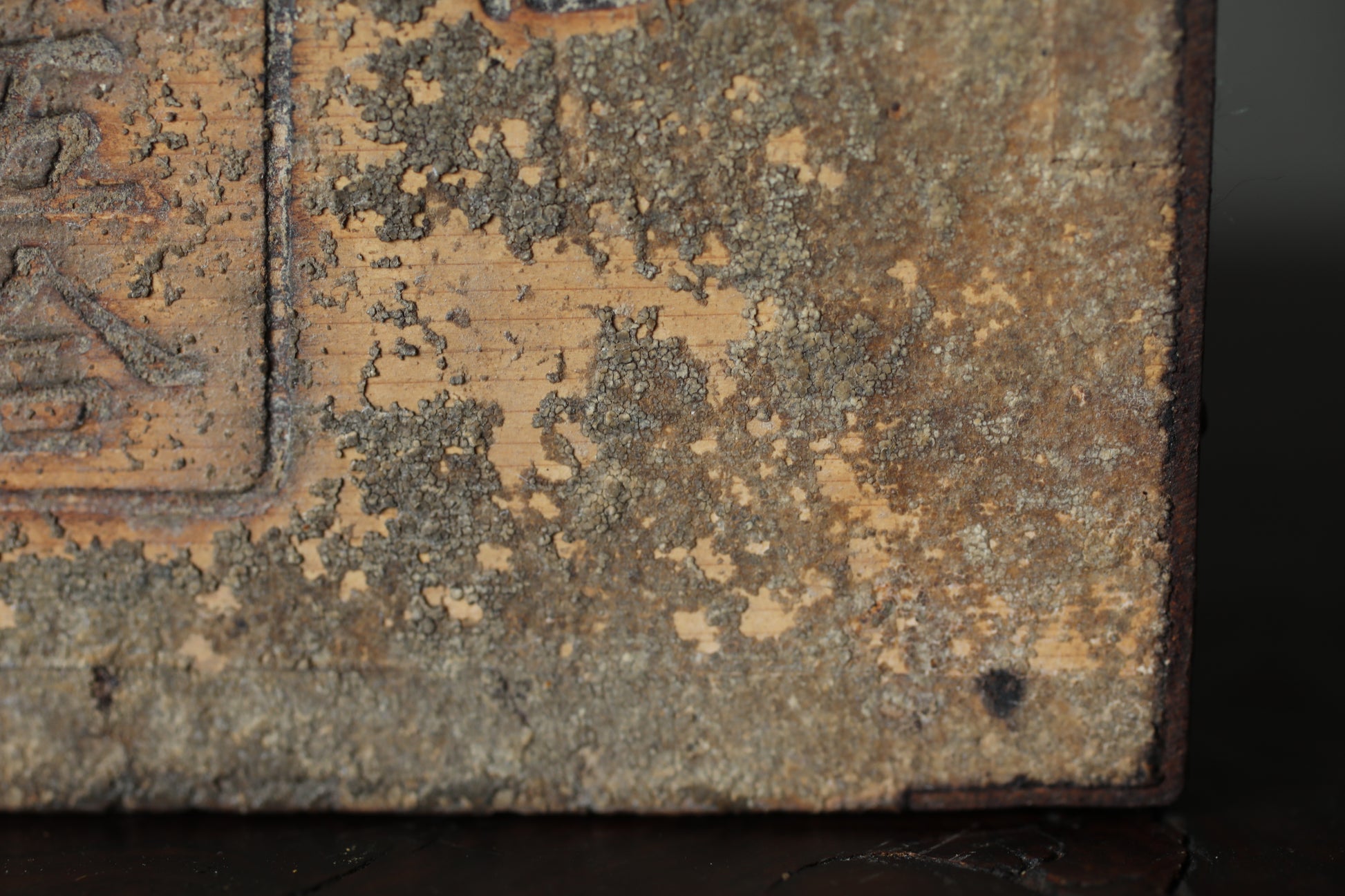 a close-up view of a weathered, peeling surface with a textured, aged appearance.