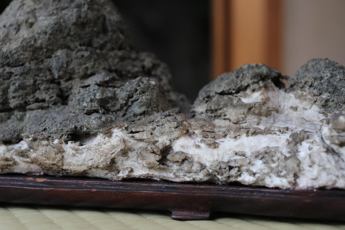 A close-up image of a rock formation, possibly a natural rock formation or a carved piece of rock, displayed on a wooden base.