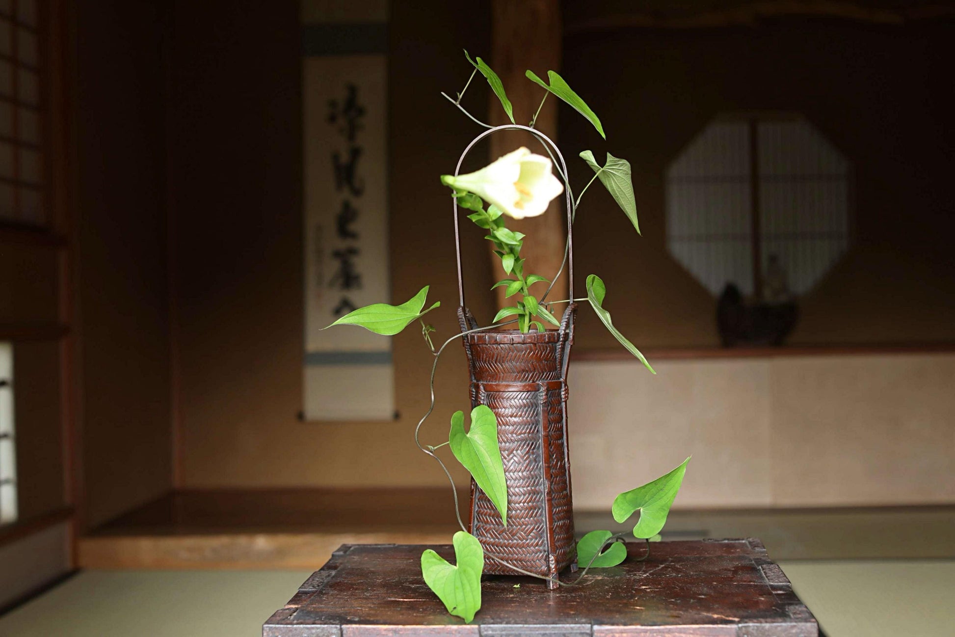 A vase with a single white flower and green leaves sits on a wooden surface, with a traditional Japanese-style room in the background.
