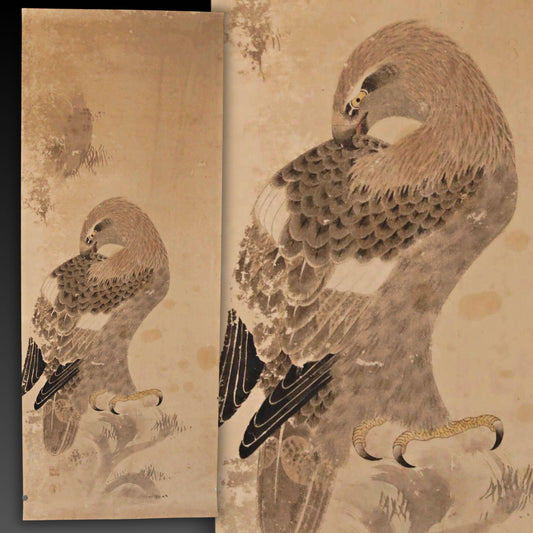 a large bird with a long neck and sharp talons, perched on a rock or branch.