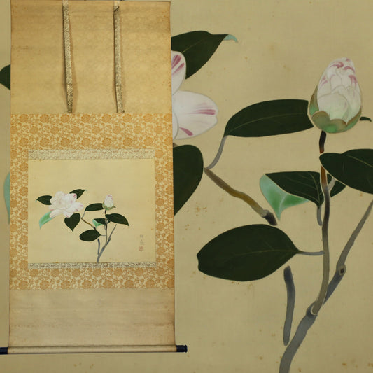 Vintage Japanese Watercolor Painting Peony flower signed : Camellia Kakejiku Scroll H69.3in/H176cm
