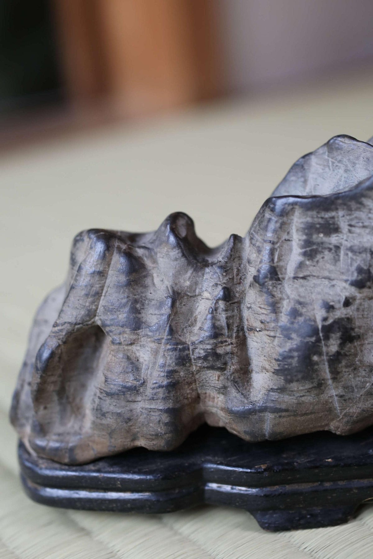 A close-up image of a stone sculpture or rock formation, with a blurred background.