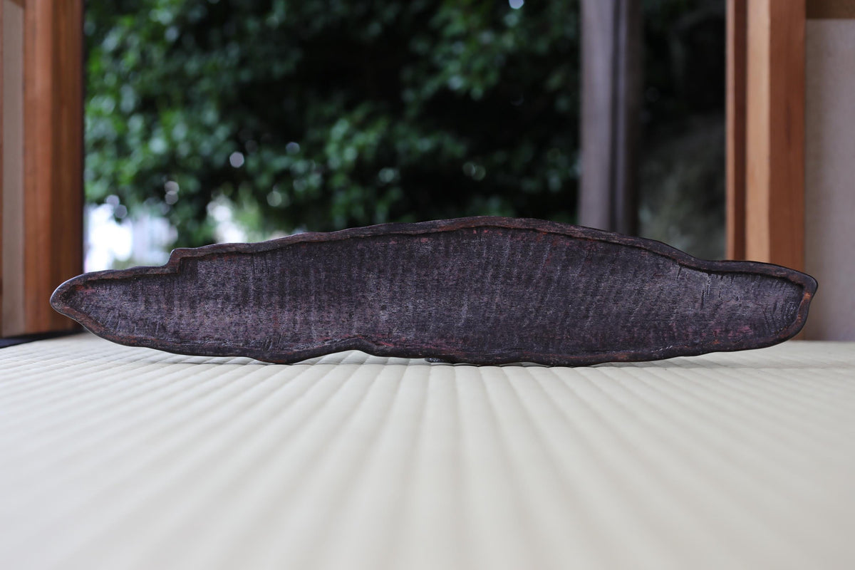 a dark-colored, textured object placed on a white surface, with a blurred background of trees and foliage.