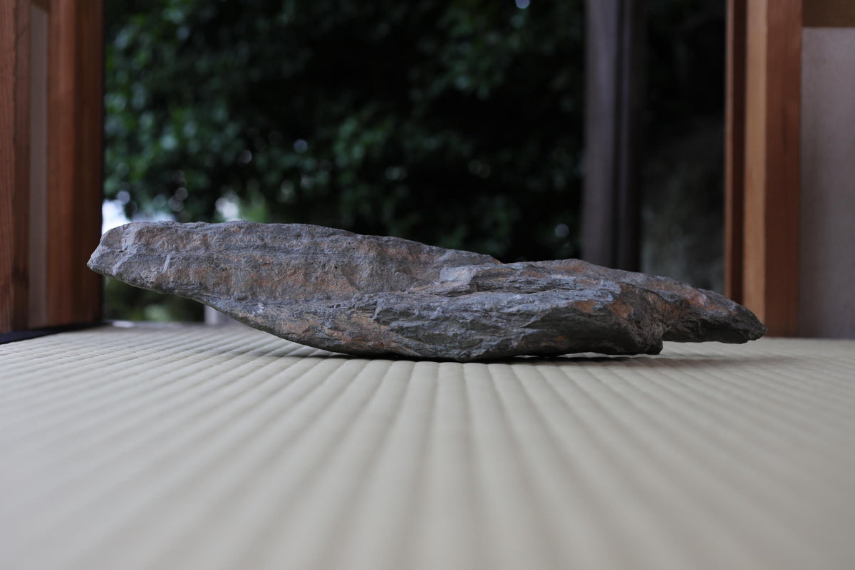 A large, gray rock rests on a textured surface, surrounded by a blurred natural background.