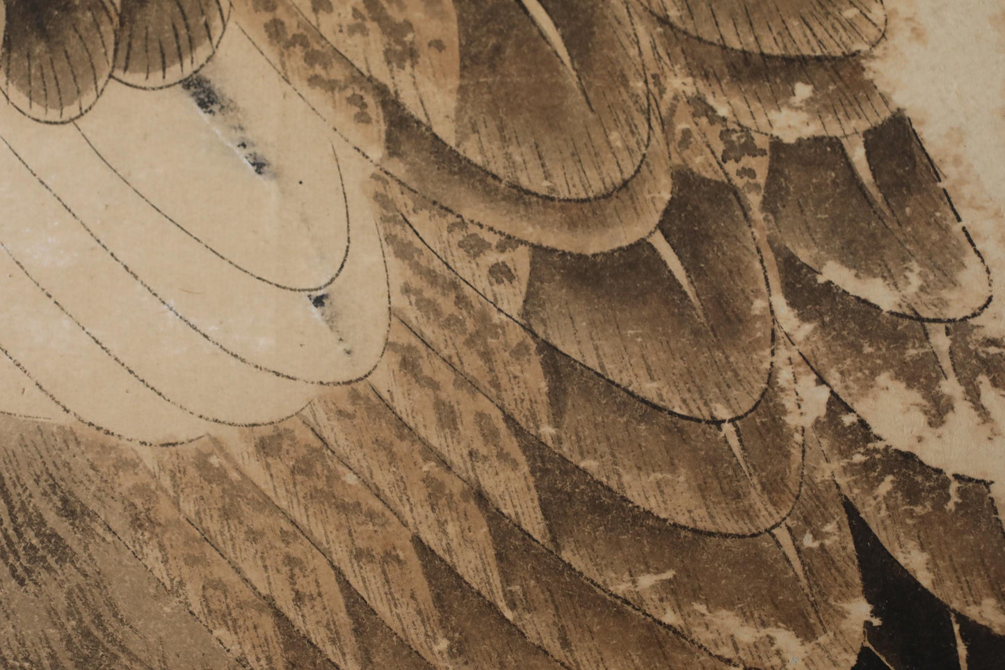 The image is a close-up of a detailed, intricate pattern of bird feathers, possibly a painting or drawing.