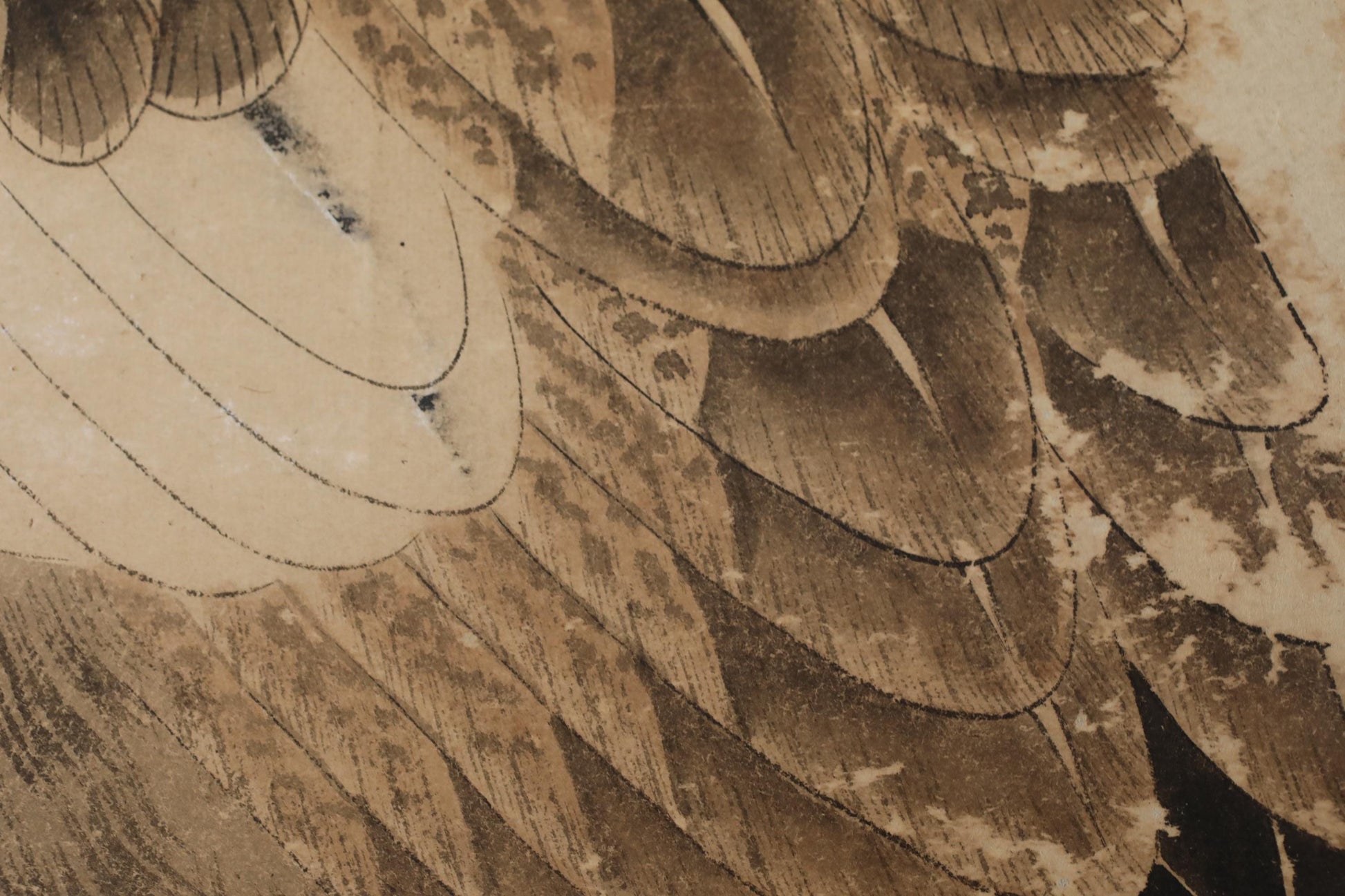 The image is a close-up of a detailed, intricate pattern of bird feathers, possibly a painting or drawing.