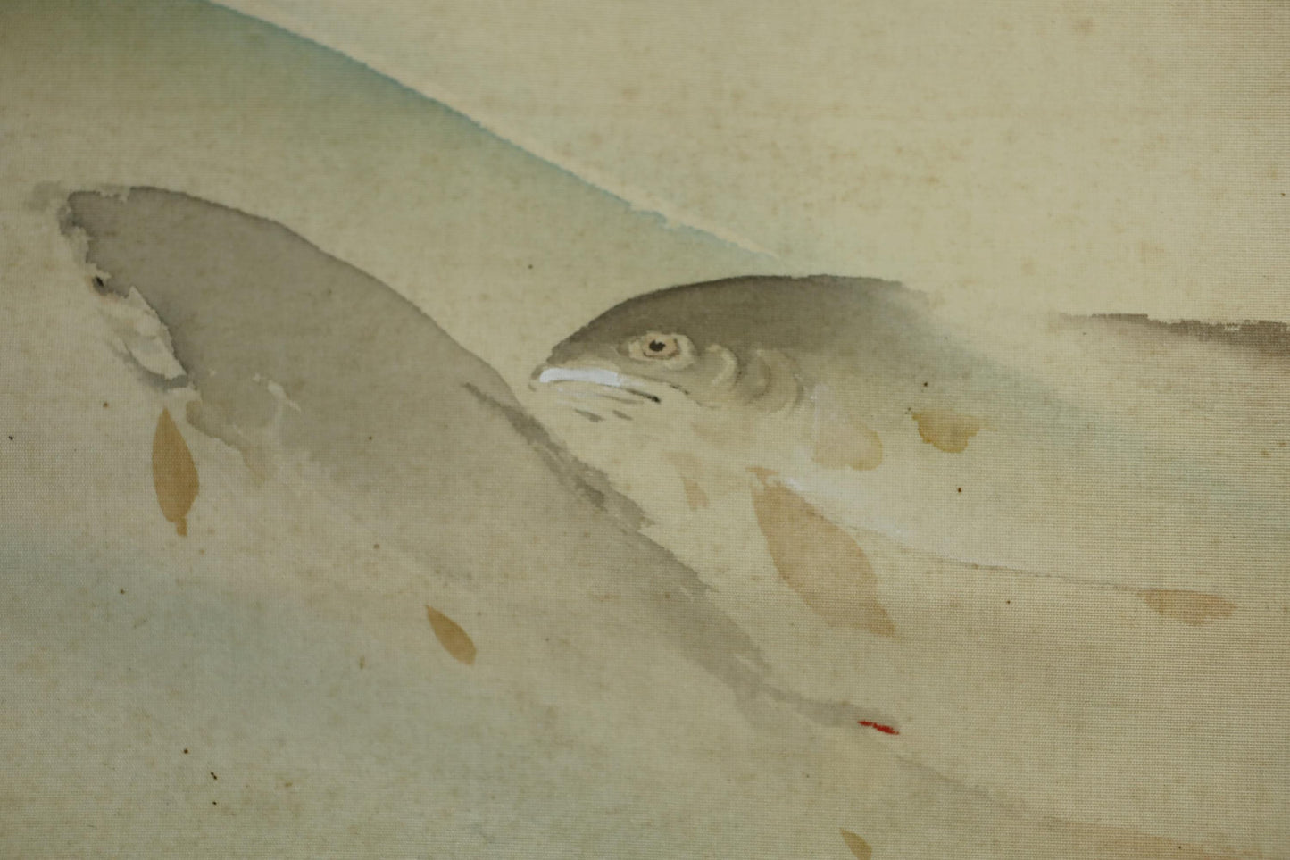Japanese Watercolor Scroll - Antique Meiji Era Sweetfish Ayu Painting | Signed Kakejiku