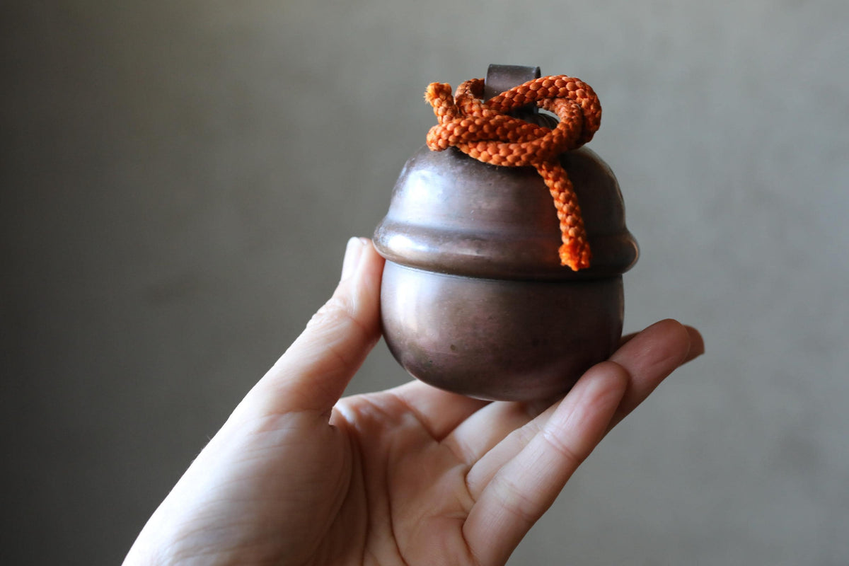 A hand holding a small, round, metal object with a rope tied around it.