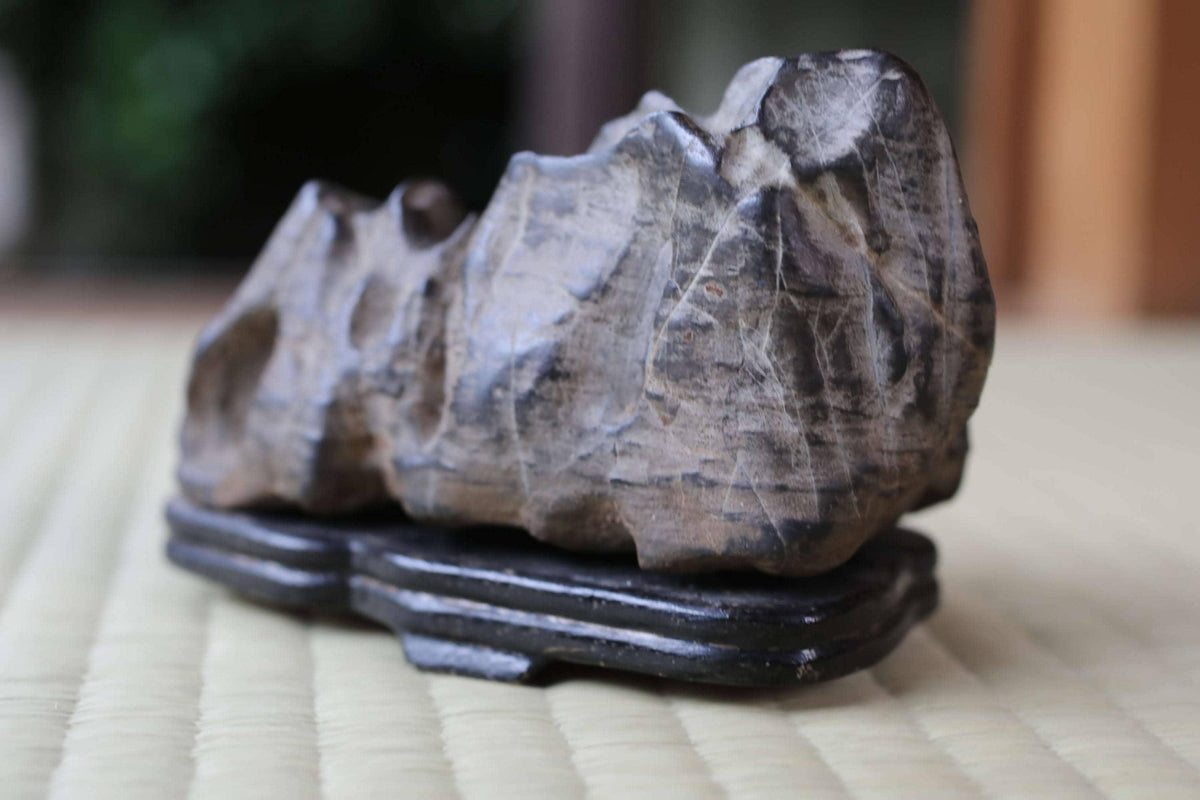 A close-up image of a rock or stone on a wooden stand, with a blurred background.