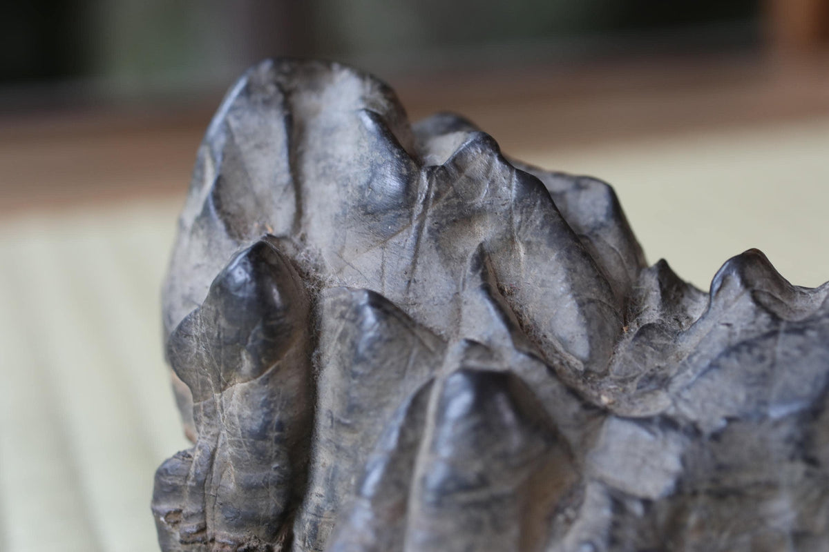 A close-up image of a rock formation with jagged, uneven surfaces and a dark, textured appearance.