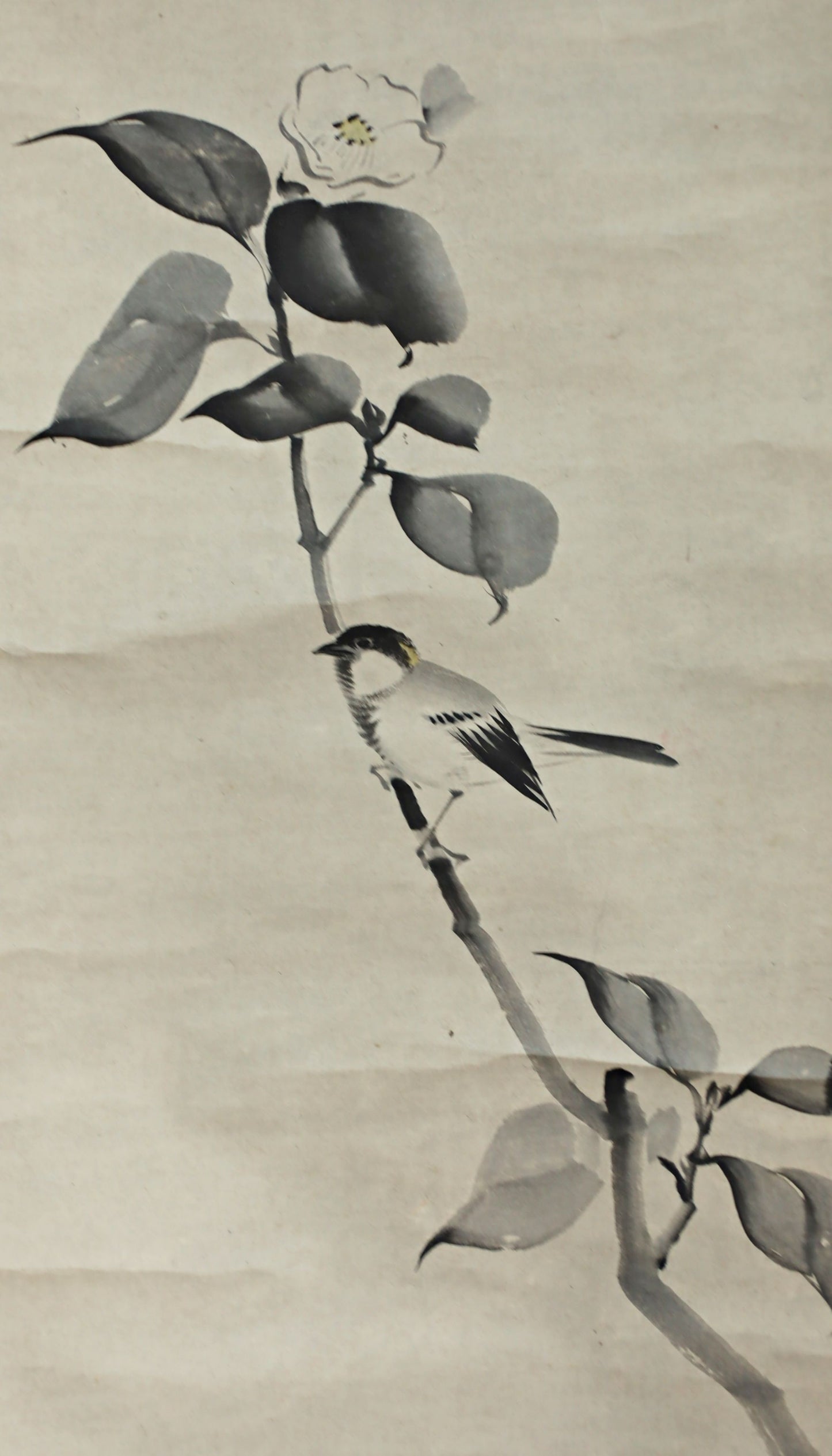 Vintage Japanese Ink Wash Painting: Camellia and Bird Kakejiku Scroll
