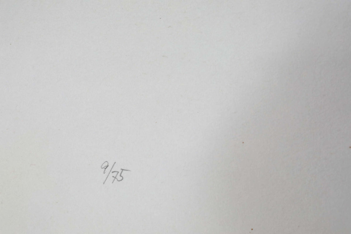 The image is a plain white background with a small handwritten number '9/75' in the bottom left corner.