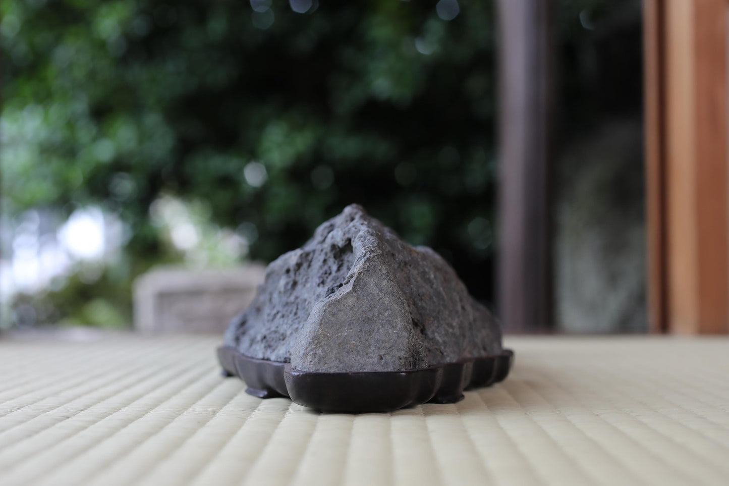 A large, gray rock sits on a wooden surface, surrounded by a blurred natural background.
