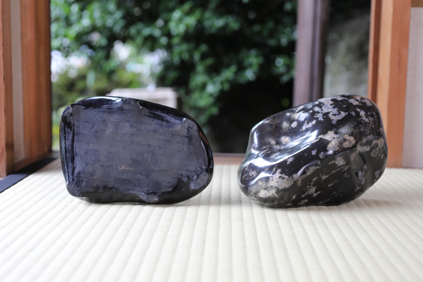 Two black rocks with a speckled surface are placed on a white surface, with a blurred green background.