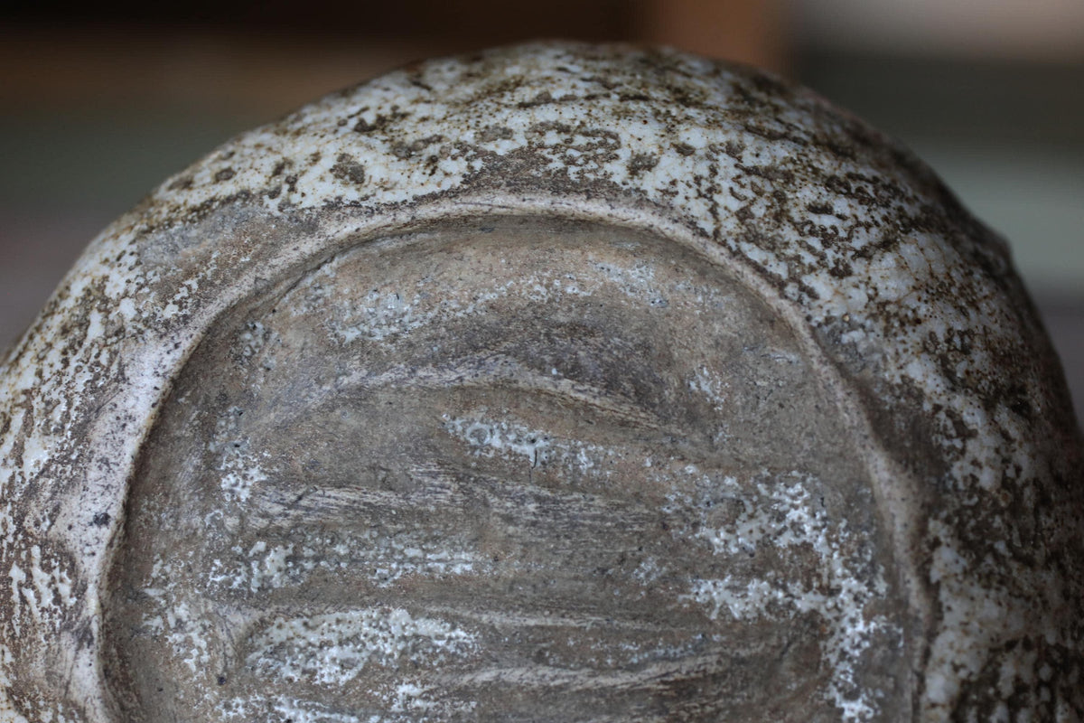A close-up view of a textured, weathered surface with a pattern of white and gray spots.