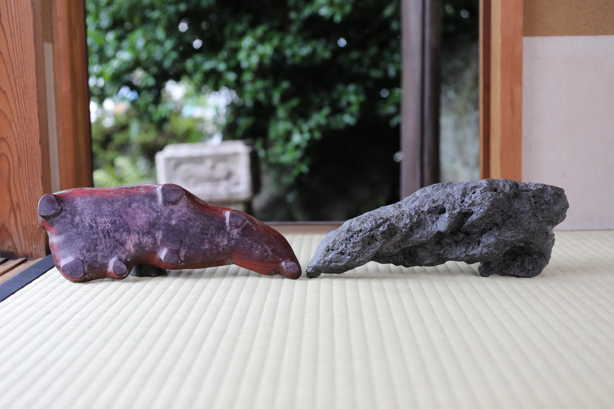 Two rocks, one red and one gray, are placed on a white surface, with a blurred green background.