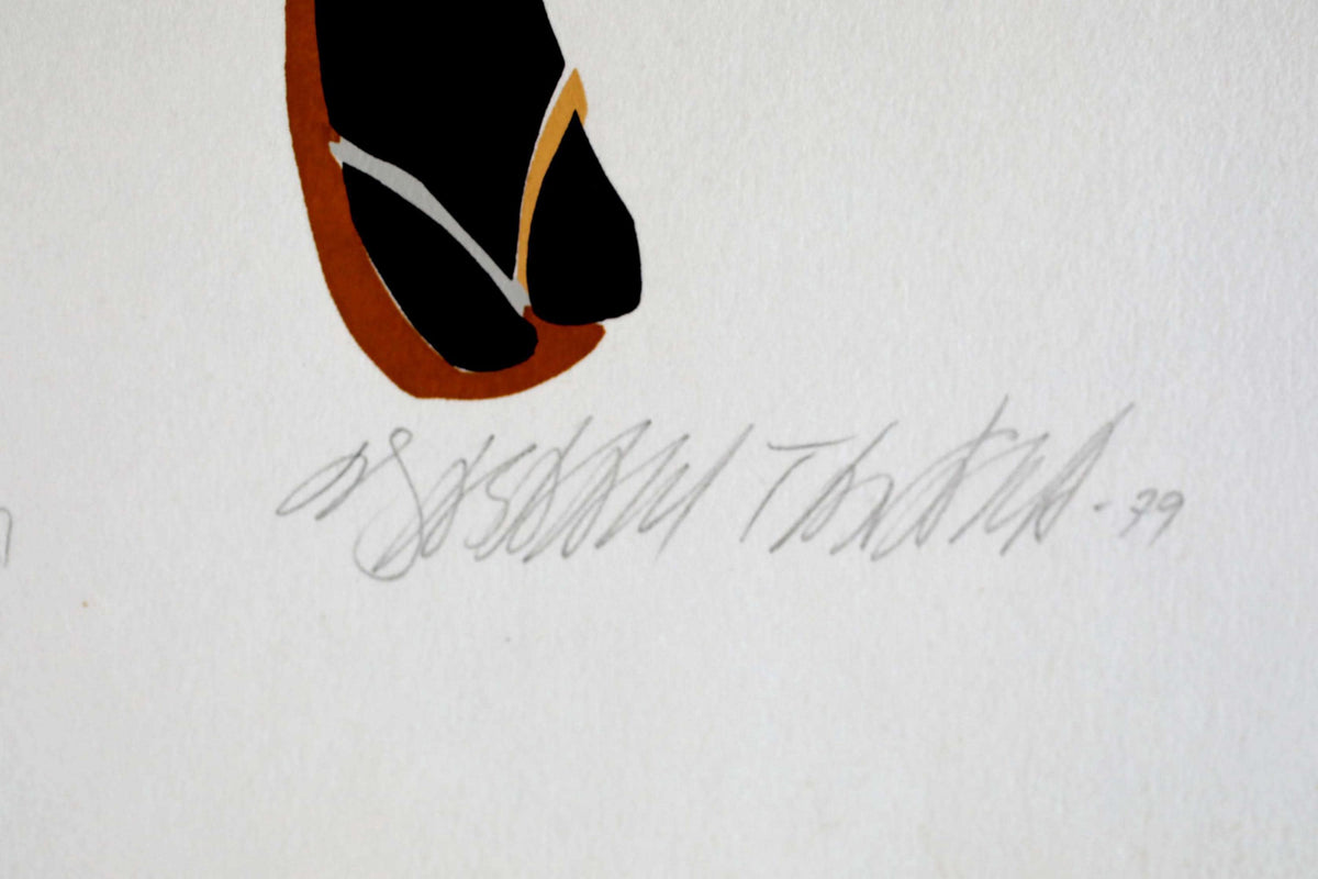 a close-up of a black and orange shoe on a white background.