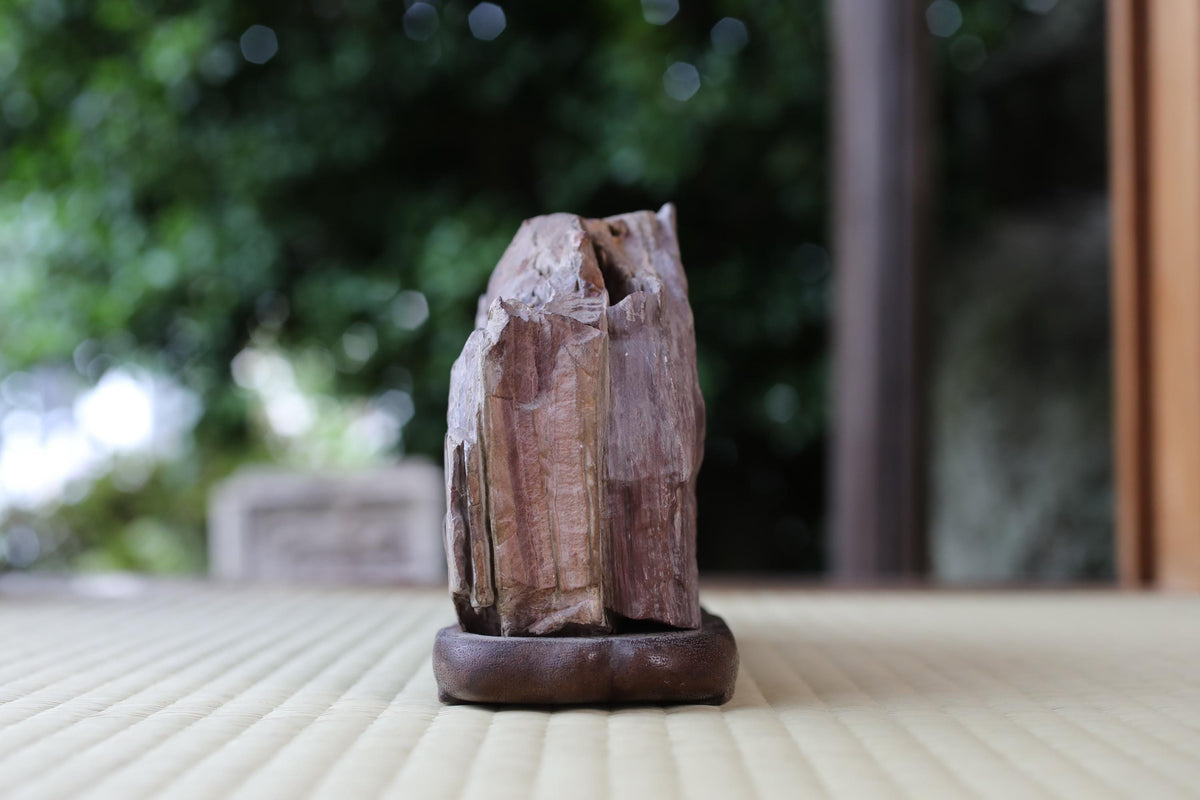 A close-up image of a wooden sculpture or piece of art, placed on a wooden stand or base, with a blurred natural background.