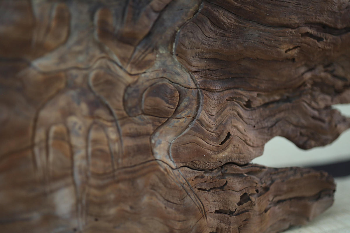 a close-up view of a weathered, textured surface, possibly a piece of wood or a stone, with a sense of depth and complexity.