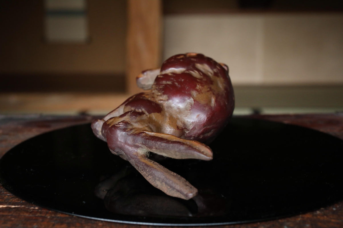 A close-up image of a piece of meat, possibly a lamb or rabbit, resting on a black surface.
